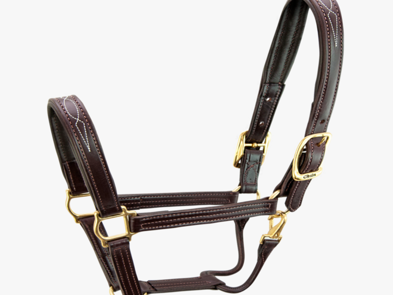 Horse Halters