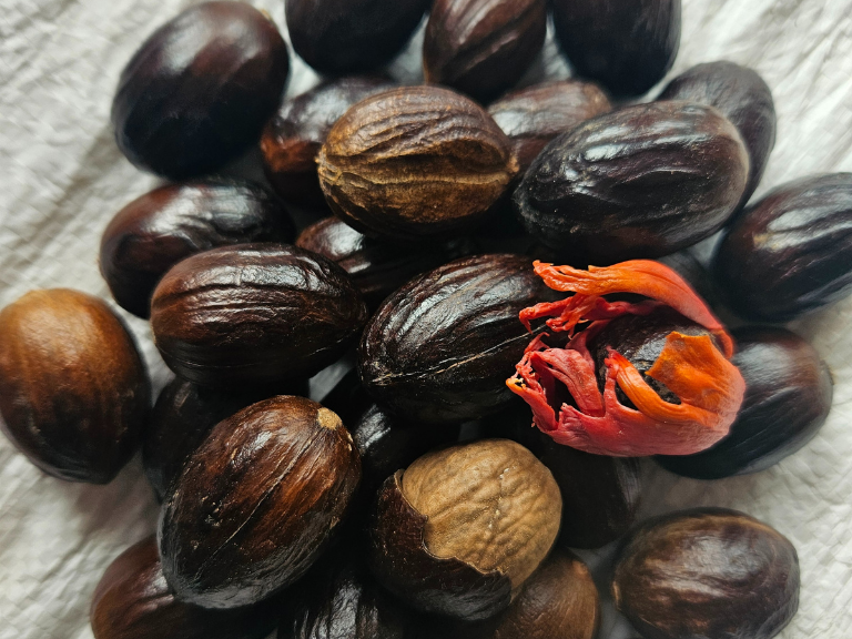 Nutmeg with shells 