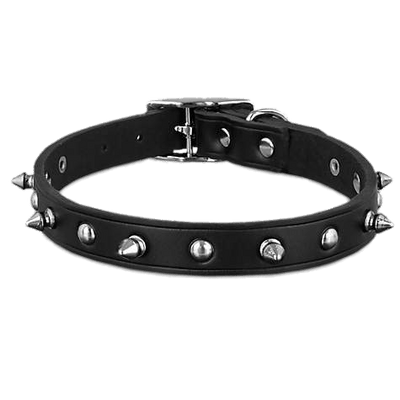 Dog Collars