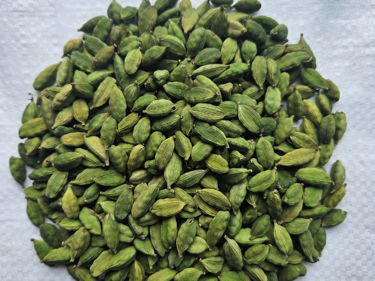 Cardamom 8+mm