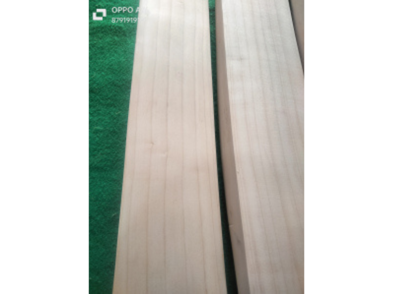 English Willow Cricket Bat