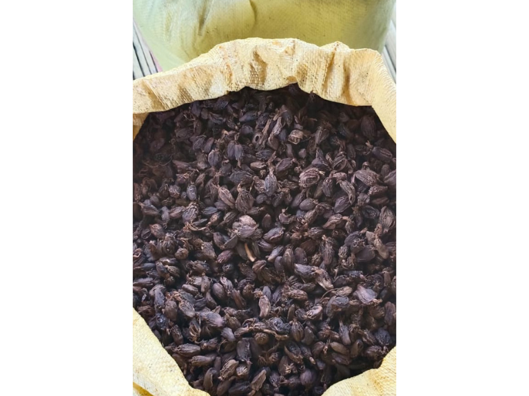 Black Cardamom