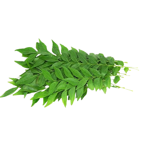 Fresh Curry Leaves