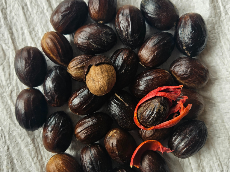 Nutmeg with shells 