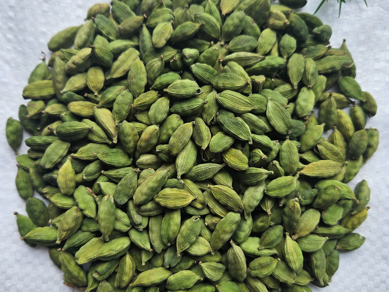 Cardamom 8+mm