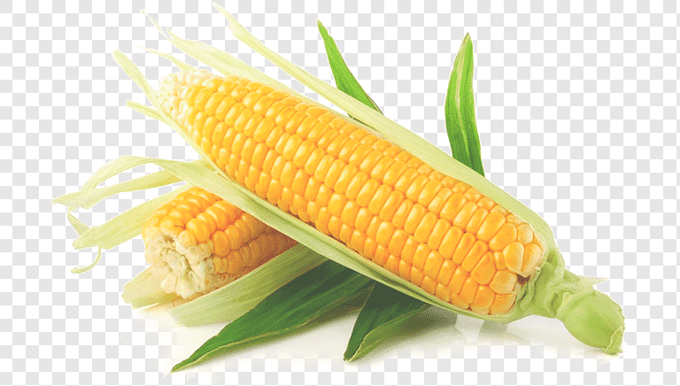 Yellow Maize