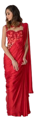  Embroidered Saree