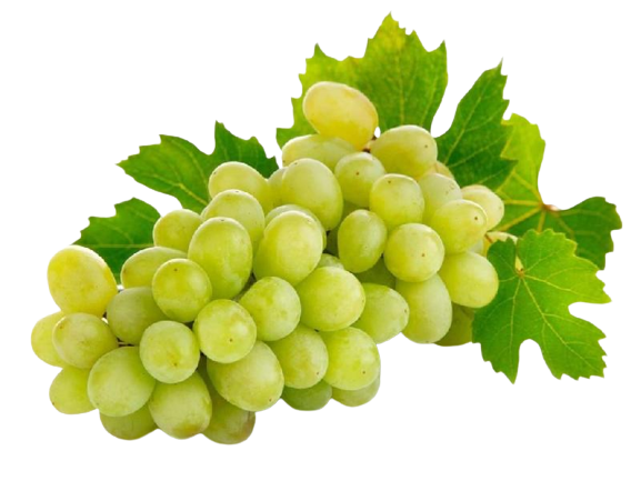 Fresh Grapes