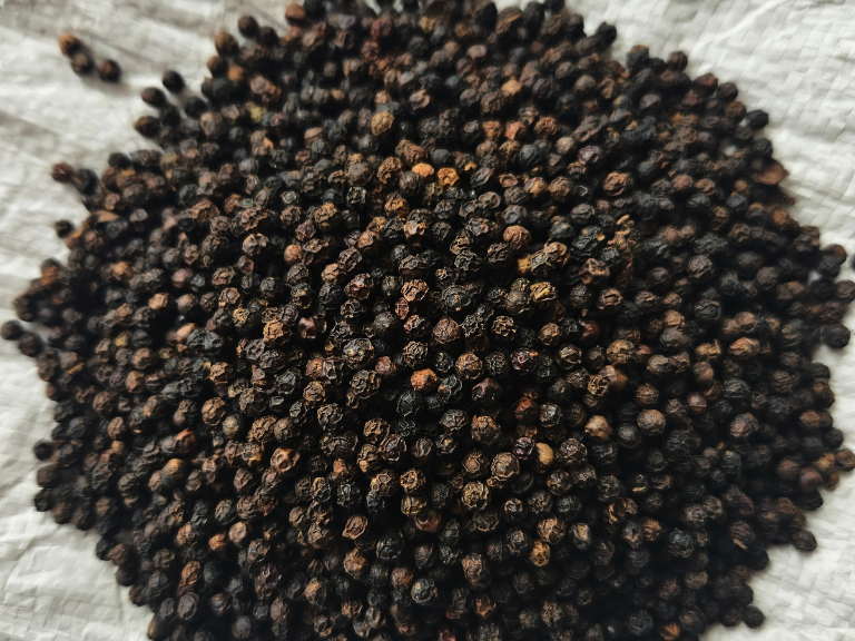 Black Pepper 