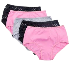 Ladies Panties