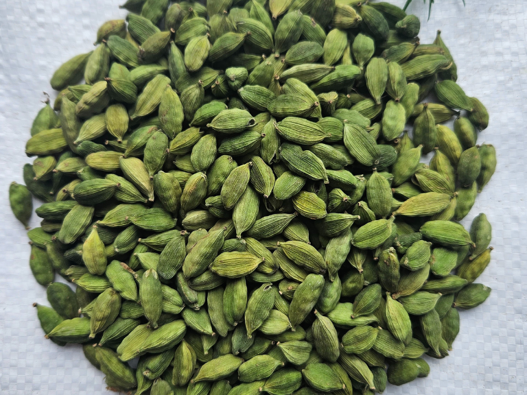 Cardamom 8+mm