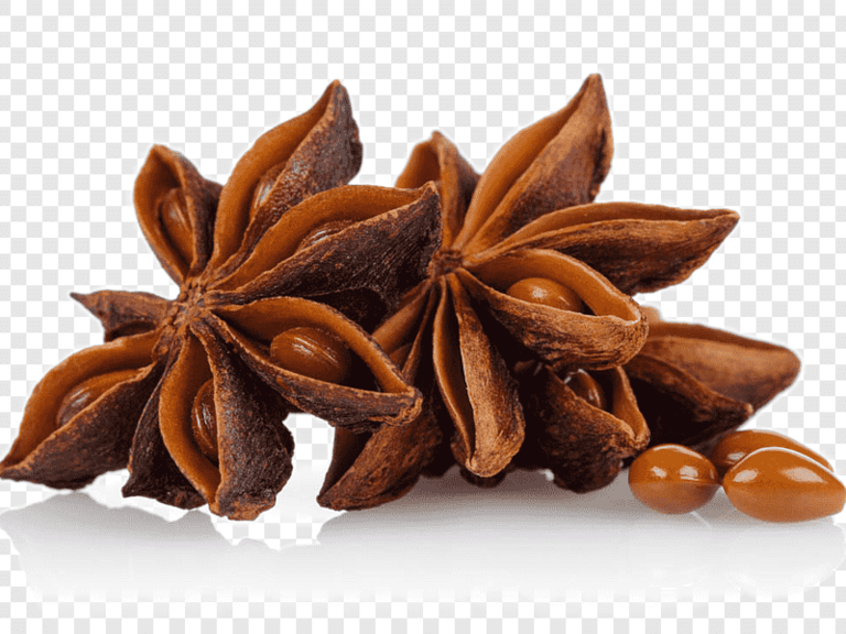 Star Anise