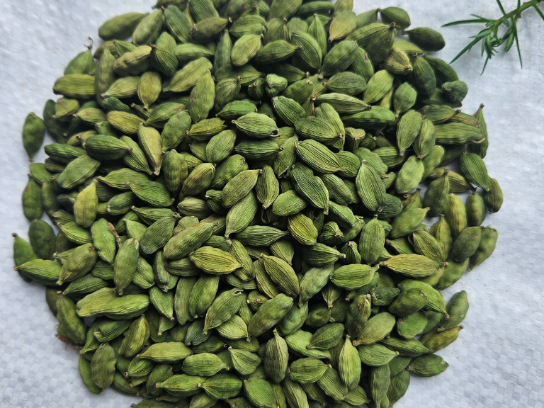 Cardamom 8+mm