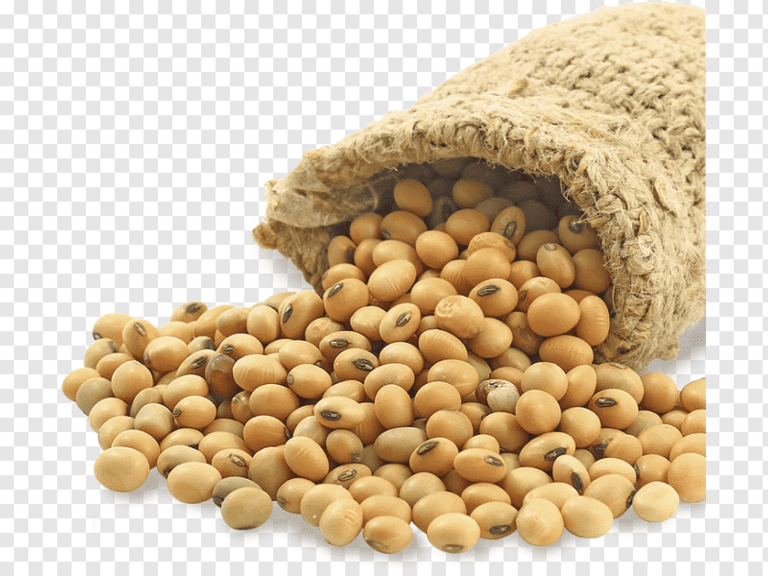 Soybean Seeds