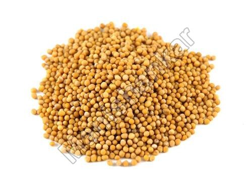 Yellow Mustard Seeds