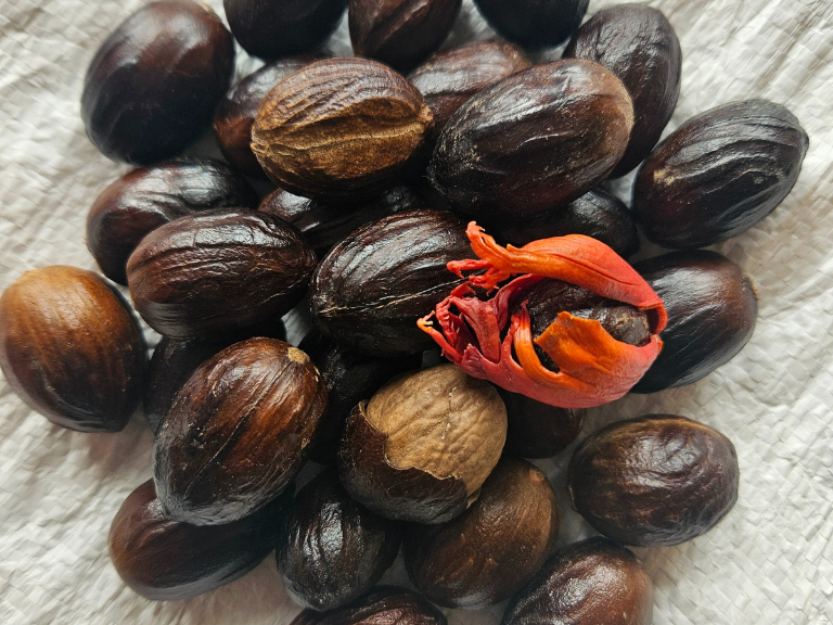 Nutmeg with shells 