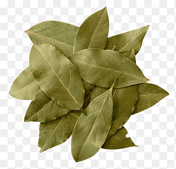 Bay Leaf