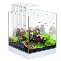 Aqua Culture, Aquarium & Accessories