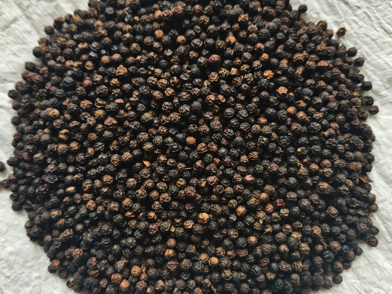 Black Pepper 