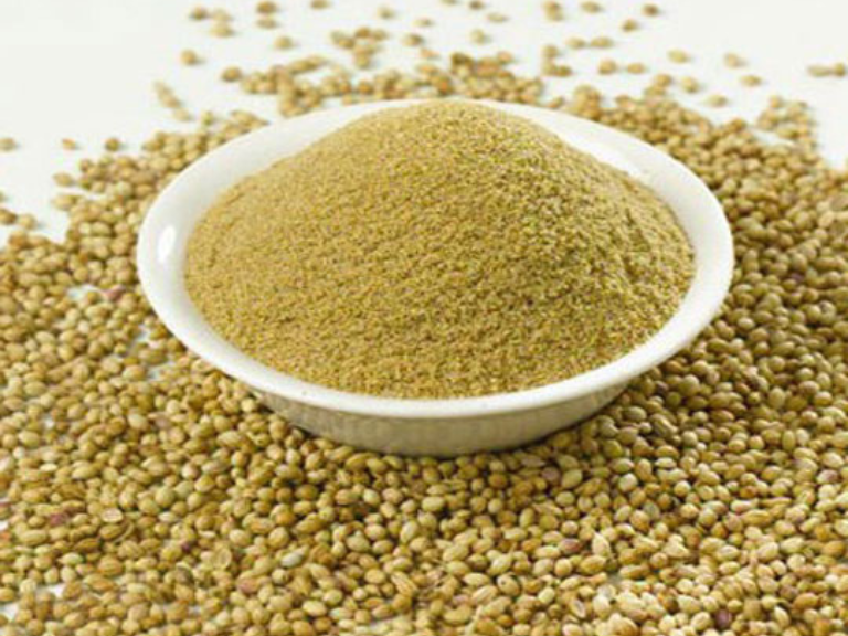 Coriander